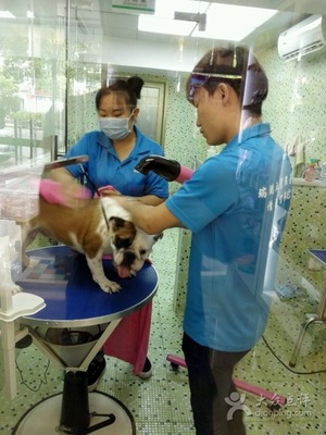 瑞鵬寵物醫院（東曉南分院） 專業寵物服務與溫馨關懷的家園