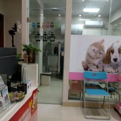 洪星1998寵物店詳細信息 電話、地址、價格、營業時間及圖片