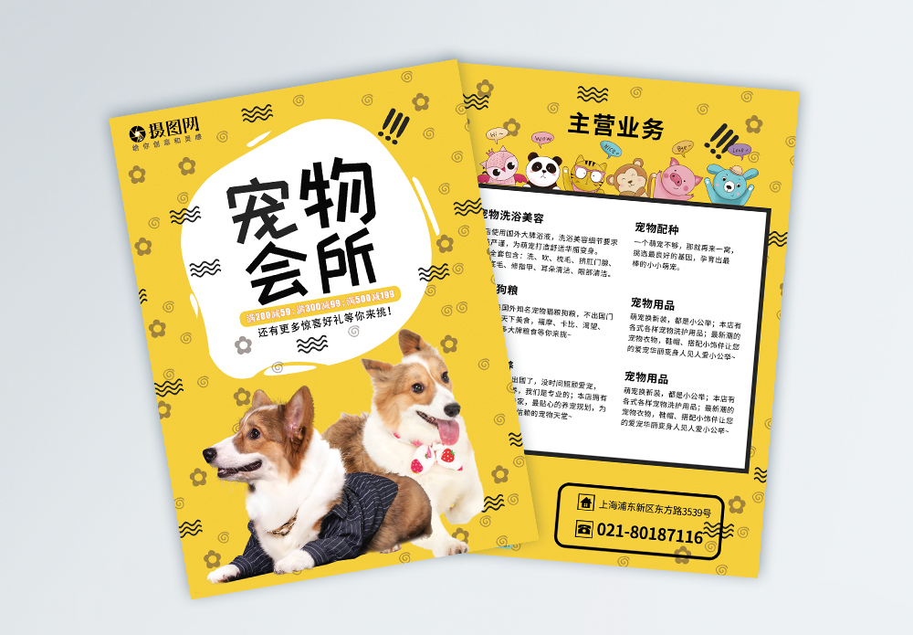 寵物箱海報(bào)設(shè)計(jì) 連接溫暖與專業(yè)的寵物服務(wù)窗口