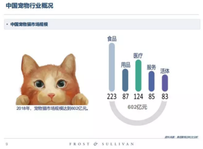 高收入、高學歷的單身人群，養寵前請先算清這筆賬