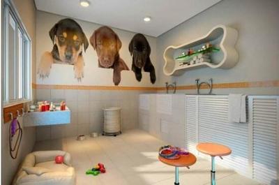 開一家寵物店需要多少錢？——寵老板為您詳細解析