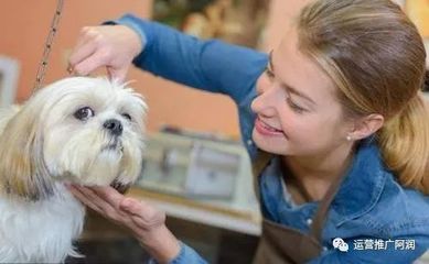 寵物醫院抖音線上推廣攻略 打造專業又溫暖的寵物服務品牌