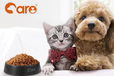 好主人寵物糧 科學配方，為愛寵提供全面營養與專業寵物服務